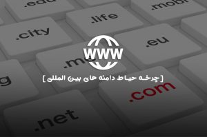 چرخه حیات دامنه های بین الملی